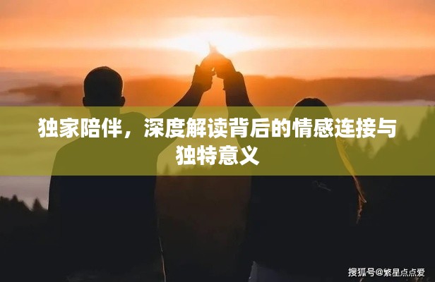 独家陪伴,深度解读背后的情感连接与独特意义