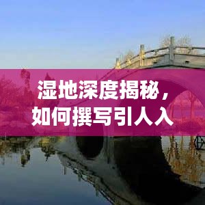 湿地深度揭秘,如何撰写引人入胜的标题及内容全攻略