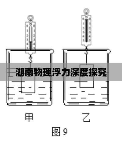 湖南物理浮力深度探究