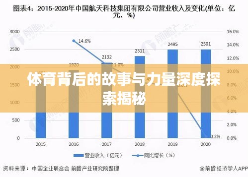 体育背后的故事与力量深度探索揭秘