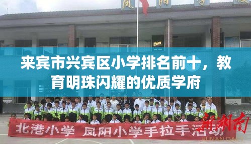 来宾市兴宾区小学排名前十,教育明珠闪耀的优质学府