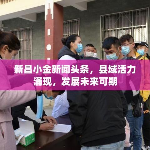 新昌小金新闻头条,县域活力涌现,发展未来可期