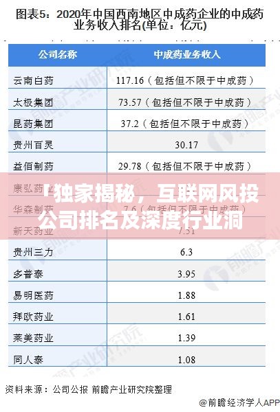 「独家揭秘,互联网风投公司排名及深度行业洞察」