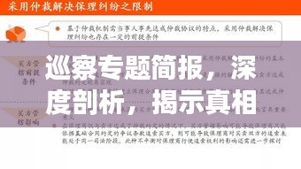 巡察专题简报,深度剖析,揭示真相