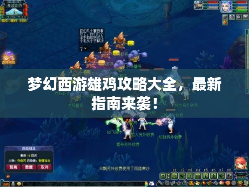 梦幻西游雄鸡攻略大全,最新指南来袭!