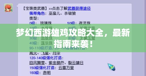 梦幻西游雄鸡攻略大全,最新指南来袭!