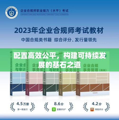 配置高效公平,构建可持续发展的基石之道