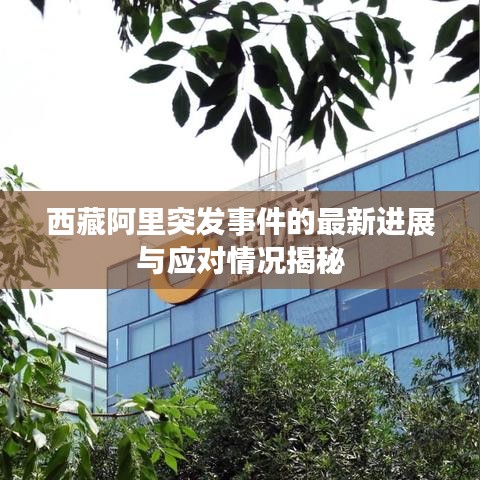 西藏阿里突发事件的最新进展与应对情况揭秘