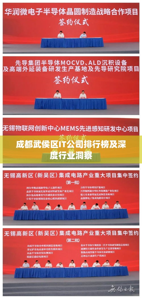 成都武侯区IT公司排行榜及深度行业洞察
