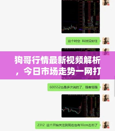 狗哥行情最新视频解析,今日市场走势一网打尽