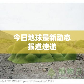 今日地球最新动态报道速递
