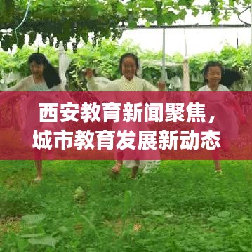 西安教育新闻聚焦,城市教育发展新动态