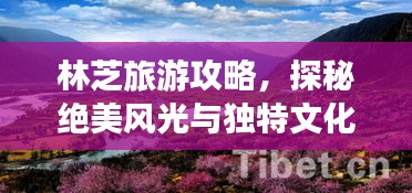 林芝旅游攻略,探秘绝美风光与独特文化体验