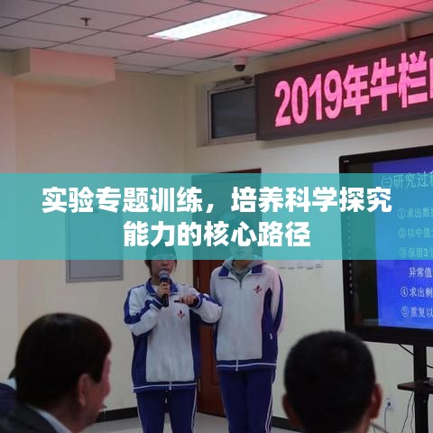实验专题训练,培养科学探究能力的核心路径