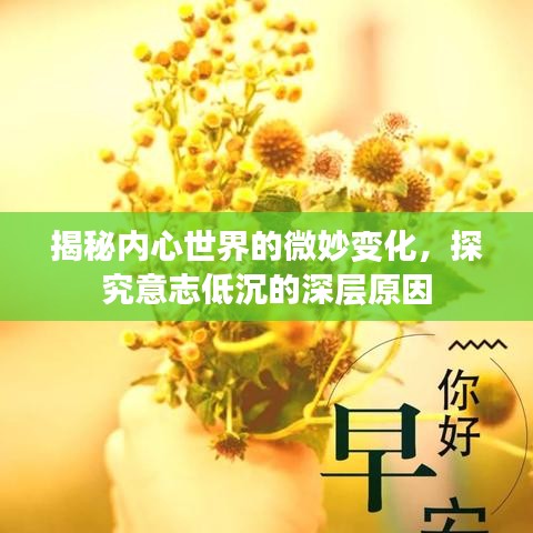 揭秘内心世界的微妙变化,探究意志低沉的深层原因