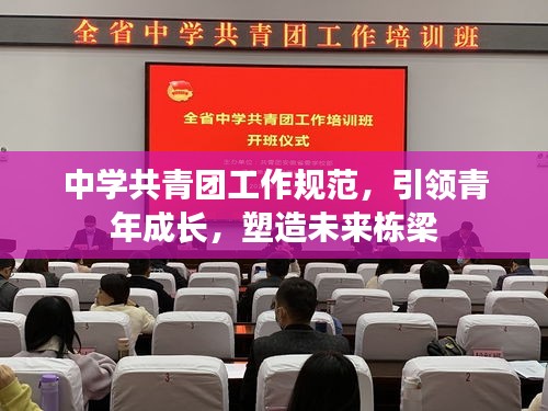 中学共青团工作规范,引领青年成长,塑造未来栋梁