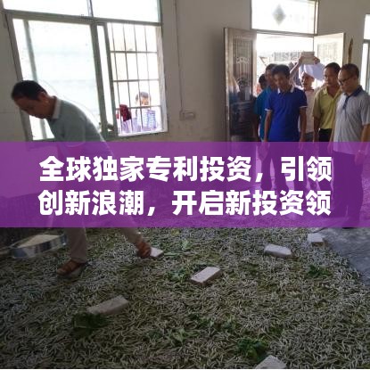 全球独家专利投资,引领创新浪潮,开启新投资领域大门