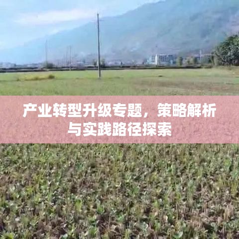 产业转型升级专题,策略解析与实践路径探索