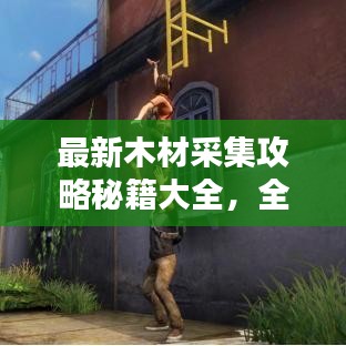 最新木材采集攻略秘籍大全,全方位指南助你轻松掌握!