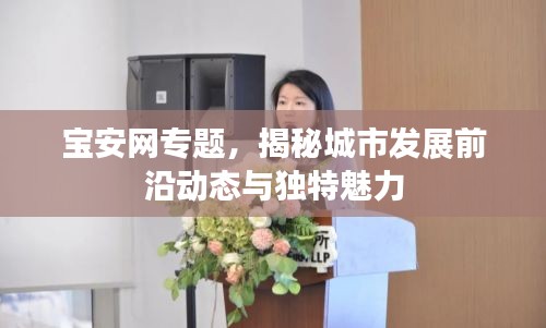 宝安网专题,揭秘城市发展前沿动态与独特魅力