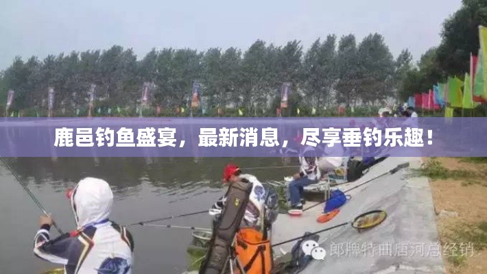 鹿邑钓鱼盛宴,最新消息,尽享垂钓乐趣!