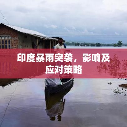 印度暴雨突袭,影响及应对策略