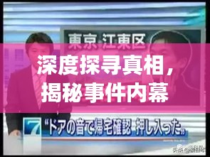 深度探寻真相,揭秘事件内幕的独家采访报道