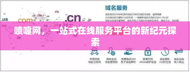 喷嚏网,一站式在线服务平台的新纪元探索