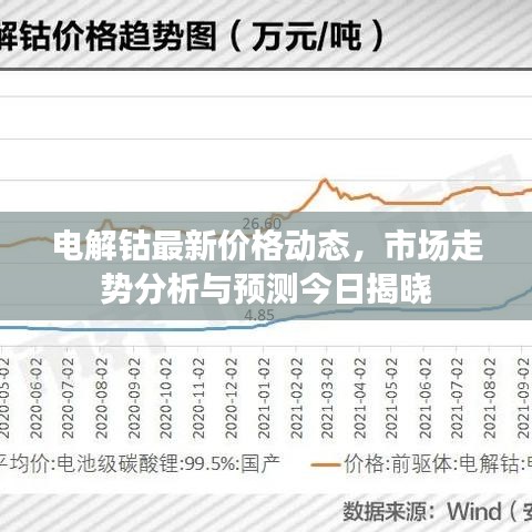 电解钴最新价格动态,市场走势分析与预测今日揭晓