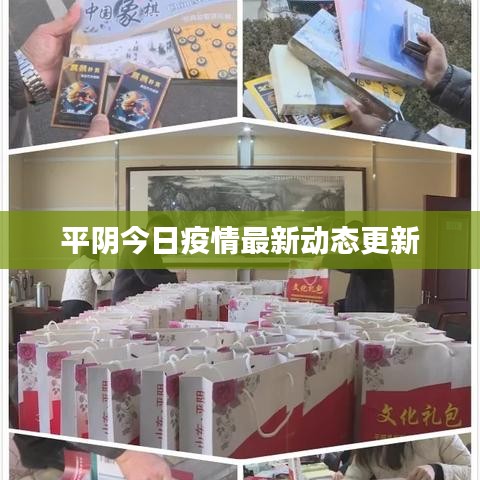平阴今日疫情最新动态更新