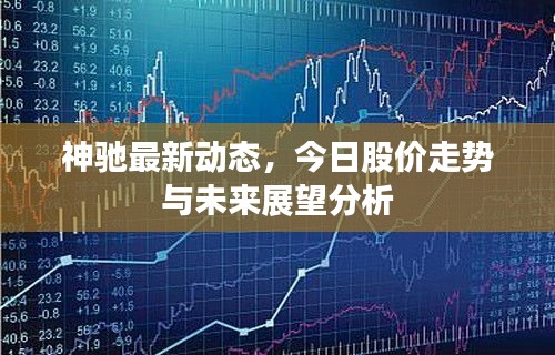神驰最新动态,今日股价走势与未来展望分析
