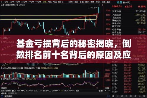 基金亏损背后的秘密揭晓,倒数排名前十名背后的原因及应对策略解析