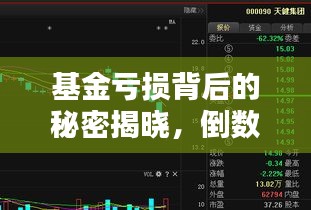 基金亏损背后的秘密揭晓,倒数排名前十名背后的原因及应对策略解析