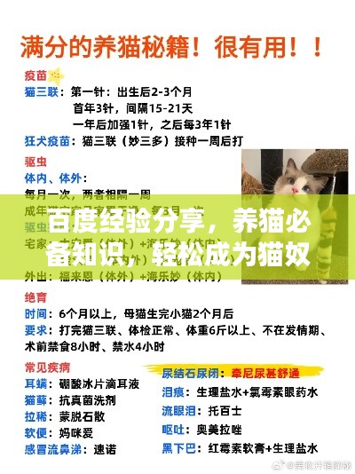 百度经验分享,养猫必备知识,轻松成为猫奴达人!