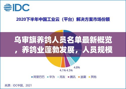 乌审旗养鸽人员名单最新概览,养鸽业蓬勃发展,人员规模持续扩大
