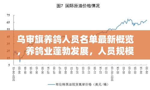 乌审旗养鸽人员名单最新概览,养鸽业蓬勃发展,人员规模持续扩大