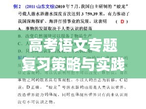 高考语文专题复习策略与实践,打造高效复习课堂