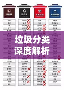 垃圾分类深度解析,背后的意义与行动指南