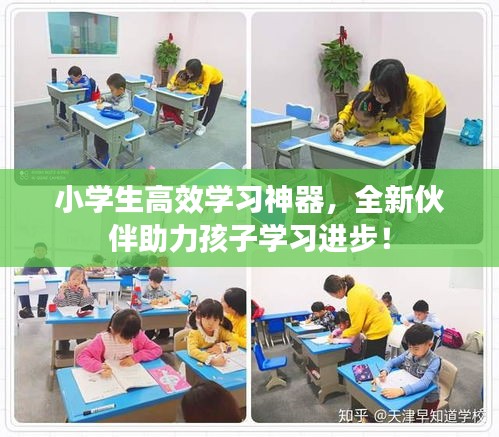 小学生高效学习神器,全新伙伴助力孩子学习进步!