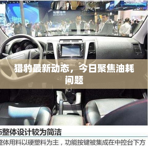 猎豹最新动态,今日聚焦油耗问题