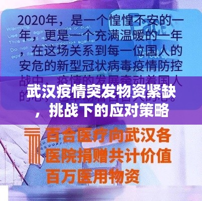 武汉疫情突发物资紧缺,挑战下的应对策略