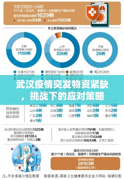 武汉疫情突发物资紧缺,挑战下的应对策略