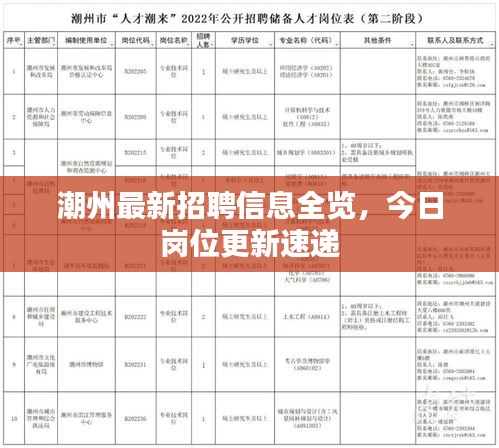 潮州最新招聘信息全览,今日岗位更新速递