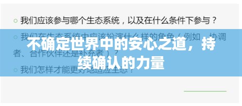 不确定世界中的安心之道,持续确认的力量