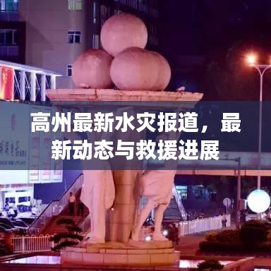 高州最新水灾报道,最新动态与救援进展