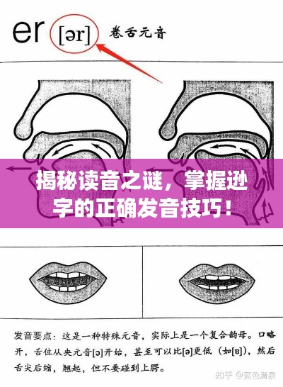 揭秘读音之谜,掌握逊字的正确发音技巧!