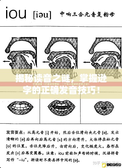 揭秘读音之谜,掌握逊字的正确发音技巧!