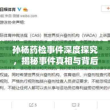 孙杨药检事件深度探究,揭秘事件真相与背后故事