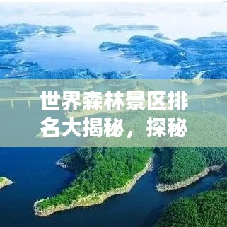 世界森林景区排名大揭秘,探秘全球最大森林景区榜单!
