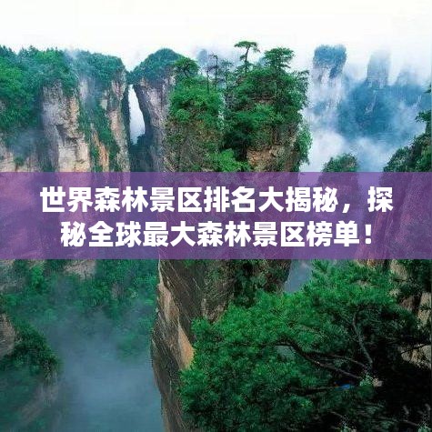 世界森林景区排名大揭秘,探秘全球最大森林景区榜单!
